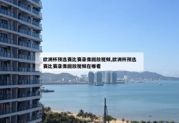 欧洲杯预选赛比赛录像回放视频,欧洲杯预选赛比赛录像回放视频在哪看