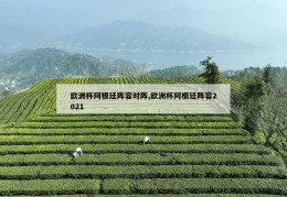 欧洲杯阿根廷阵容对阵,欧洲杯阿根廷阵容2021