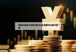 美国法国意大利欧洲杯比赛,美国对法国小组赛