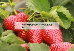 17049期足彩比分,21049期足彩比分