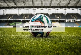 欧洲杯2023赛程表预选赛,欧洲杯2023赛程表预选赛葡萄牙