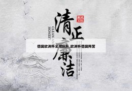 德国欧洲杯足球队队,欧洲杯德国阵营