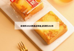 欧洲杯2024揭幕战球迷,欧洲杯202年