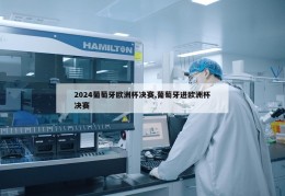 2024葡萄牙欧洲杯决赛,葡萄牙进欧洲杯决赛