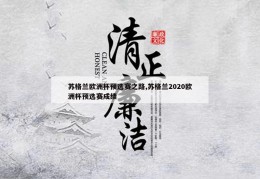 苏格兰欧洲杯预选赛之路,苏格兰2020欧洲杯预选赛成绩