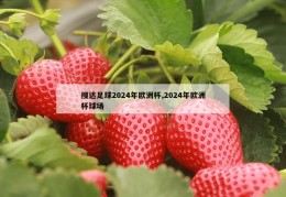 搜达足球2024年欧洲杯,2024年欧洲杯球场