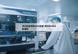 荷兰队欧洲杯2024合影,荷兰队2021欧洲杯