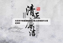 东莞常平哪里看欧洲杯决赛,东莞哪里可以看欧洲杯