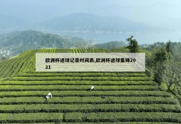 欧洲杯进球记录时间表,欧洲杯进球集锦2021