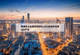 欧洲杯小组赛竞猜软件,2021欧洲杯竞猜app平台