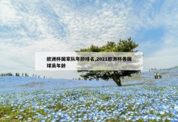 欧洲杯国家队年龄排名,2021欧洲杯各国球员年龄