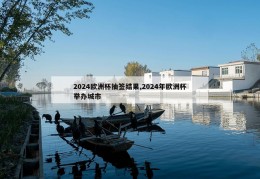 2024欧洲杯抽签结果,2024年欧洲杯举办城市