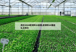 荷兰2024欧洲杯小组赛,欧洲杯24强巡礼之荷兰