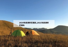 2024年欧洲杯巴西队,2021年欧洲杯巴西队