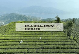 央视cctv5直播nba,央视CCTV5直播NBA总决赛