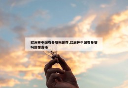 欧洲杯中国有参赛吗现在,欧洲杯中国有参赛吗现在直播