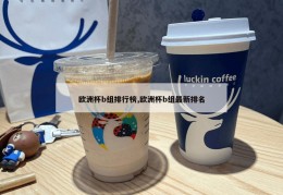 欧洲杯b组排行榜,欧洲杯b组最新排名