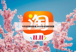 今年欧洲杯四强,2020年欧洲杯四强