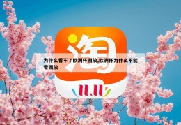 为什么看不了欧洲杯回放,欧洲杯为什么不能看回放