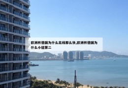 欧洲杯德国为什么出线那么快,欧洲杯德国为什么小组第二